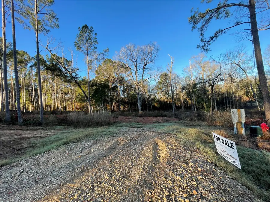 11351 Annie Creek Drive, Willis, TX 77378 - #2