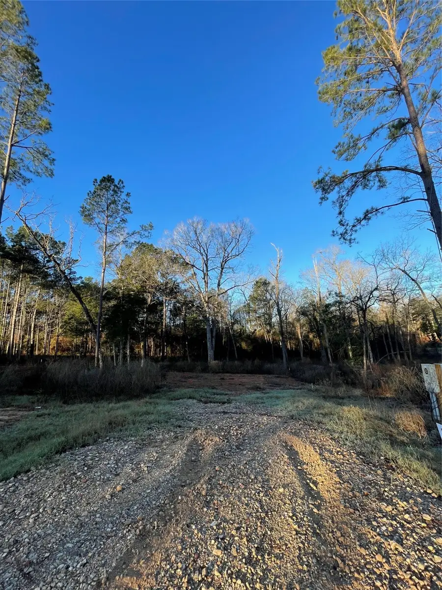 11351 Annie Creek Drive, Willis, TX 77378 - #3