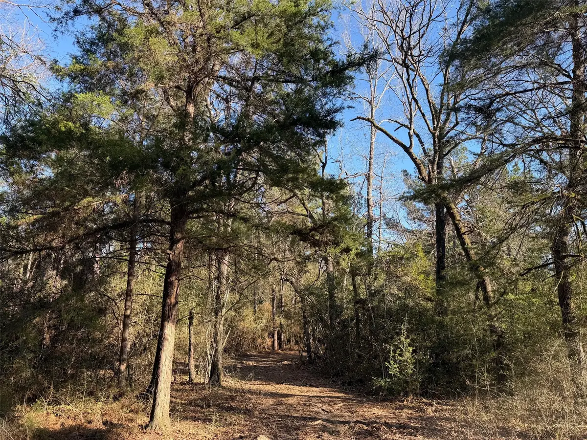 26 ac Cr 295, Oakwood, TX 75833 - Image #1