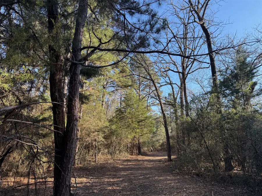 26 ac Cr 295, Oakwood, TX 75833 - Image #3