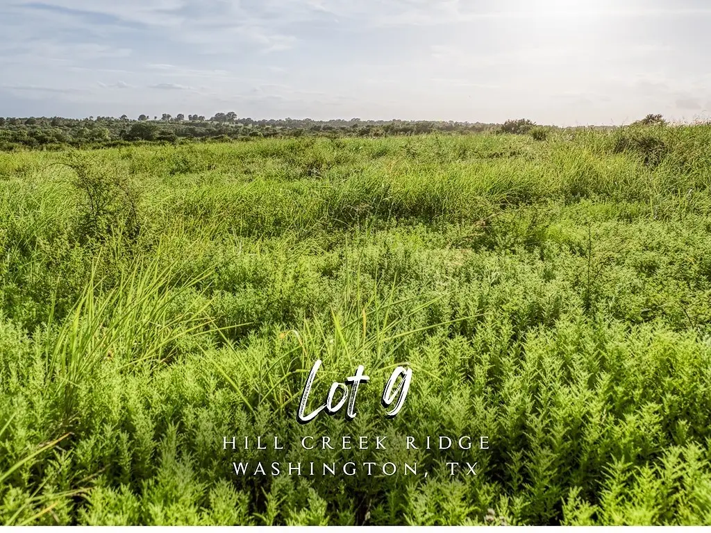 Lot 9 Hargrove Lane, Washington, TX 77880 - #1