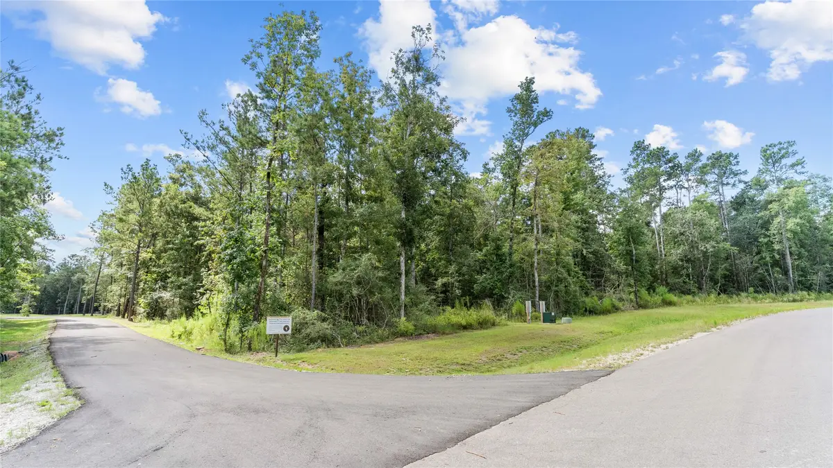 194 Exploration Road, Willis, TX 77378 - #1