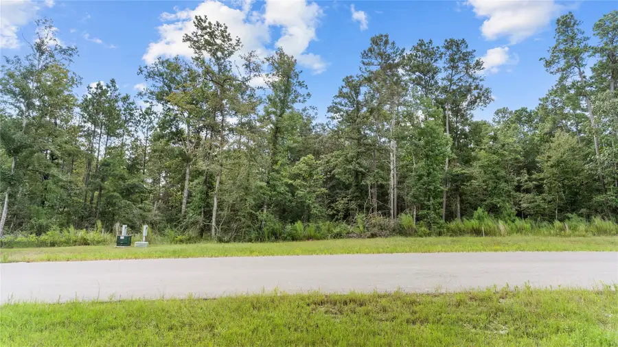 194 Exploration Road, Willis, TX 77378 - #2