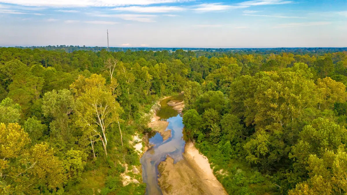 TBD Garner Rd, Goodrich, TX 77335 - Image #1