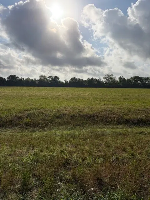 000 Brahman Trail, Angleton, TX 77515 - #3