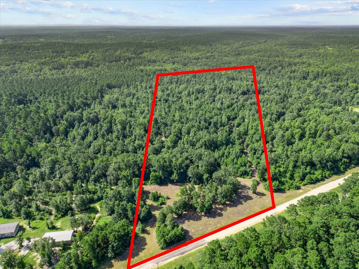 TBD Felix Currie Road, Point Blank, TX 77364 - #1