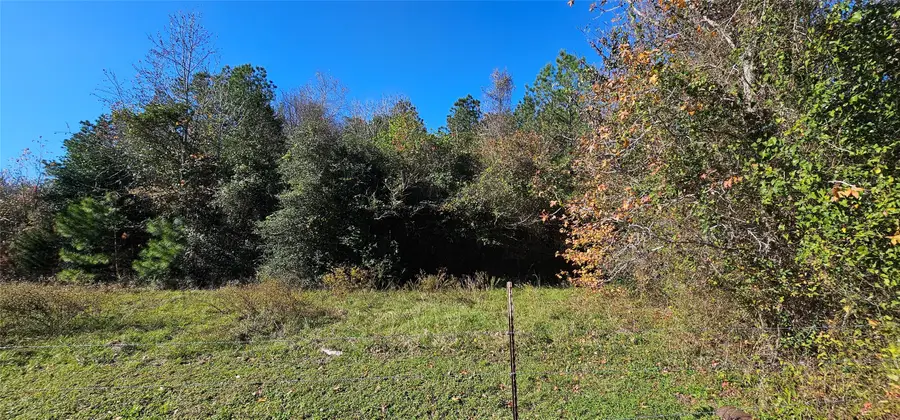 TBD Family Lane S, New Waverly, TX 77358 - Image #2