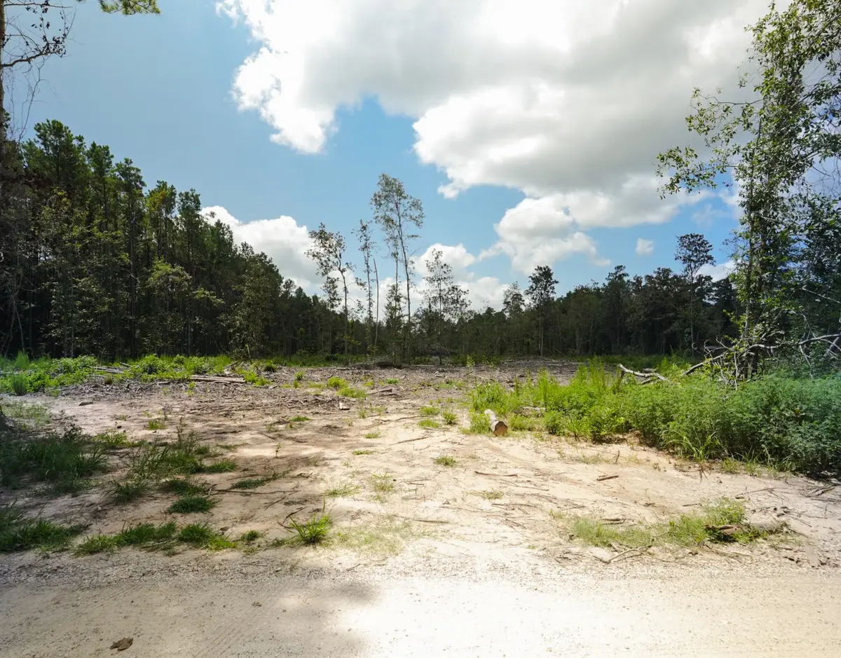 0 Outlaw Bend Bend, Livingston, TX 77351 - #1
