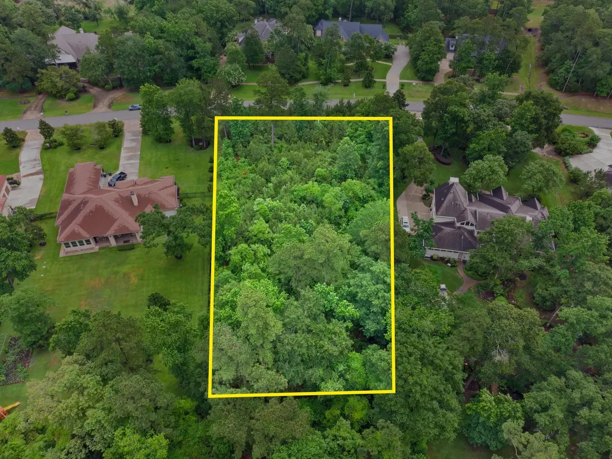 27403 Whispering Maple Way, Spring, TX 77386 - #1