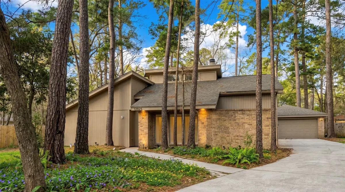 12025 Acorn Oak Street, The Woodlands, TX 77380 - #1