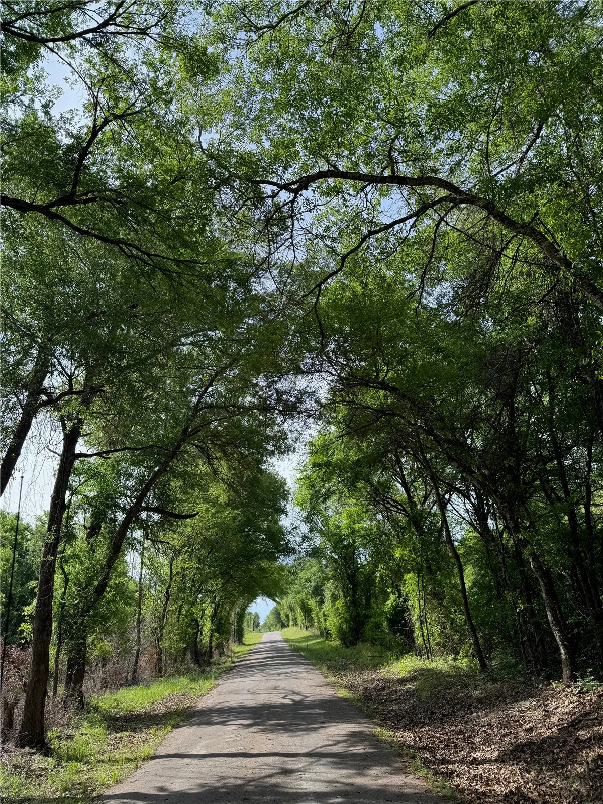 8590 Hammond Road, Calvert, TX 77837 - #1
