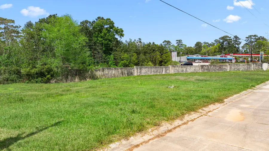 3 Stone Creek Ln, Conroe, TX 77304 - #3