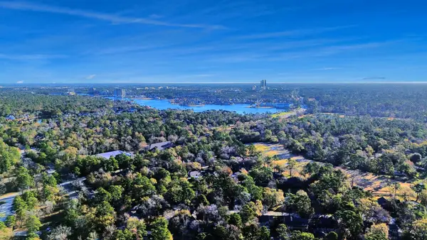 3500 Tangle Brush Drive #186, The Woodlands, TX 77381