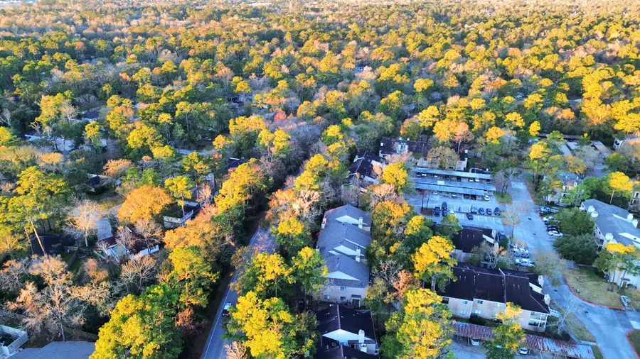 3500 Tangle Brush Drive #186, The Woodlands, TX 77381 - #2