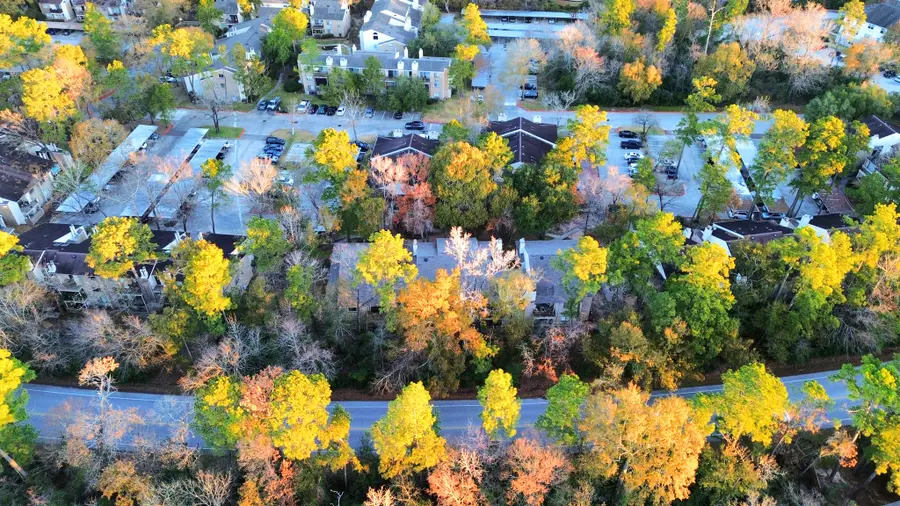 3500 Tangle Brush Drive #186, The Woodlands, TX 77381 - #3