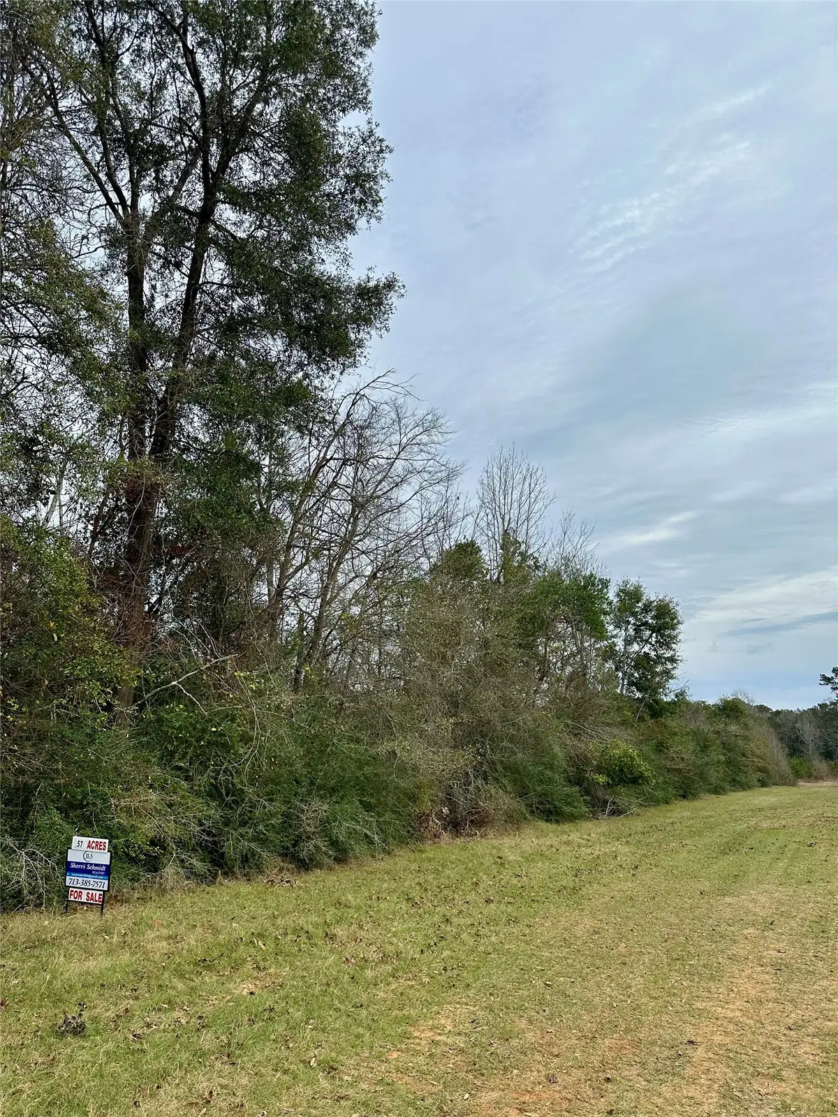 TBD Good Pasture, Thicket, TX 77374 - #1