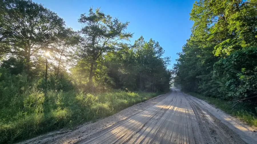 TBD Old Hwy 287, Groveton, TX 75845 - Image #2