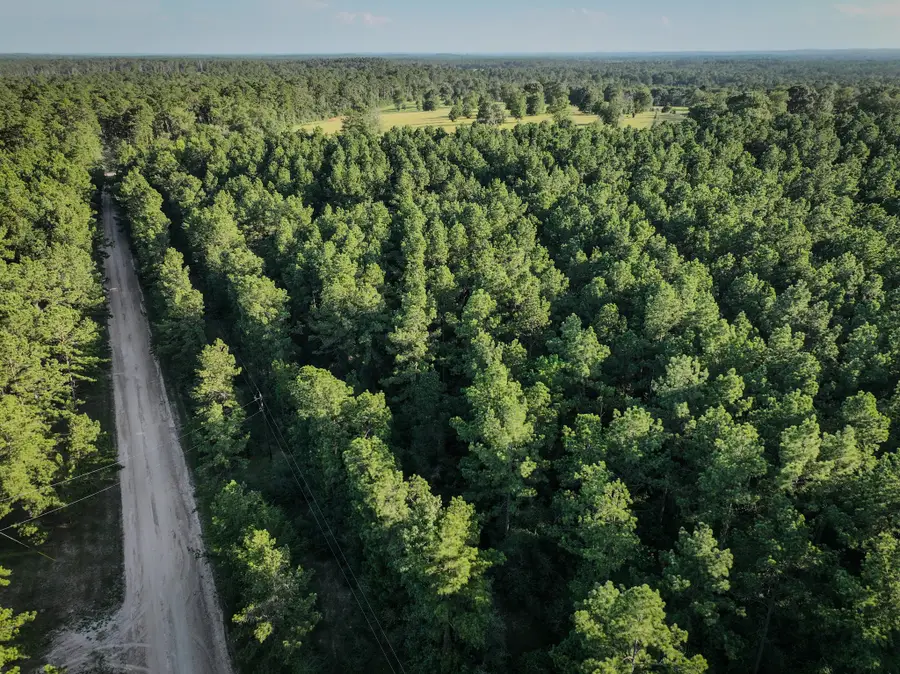 TBD Old Hwy 287, Groveton, TX 75845 - Image #3