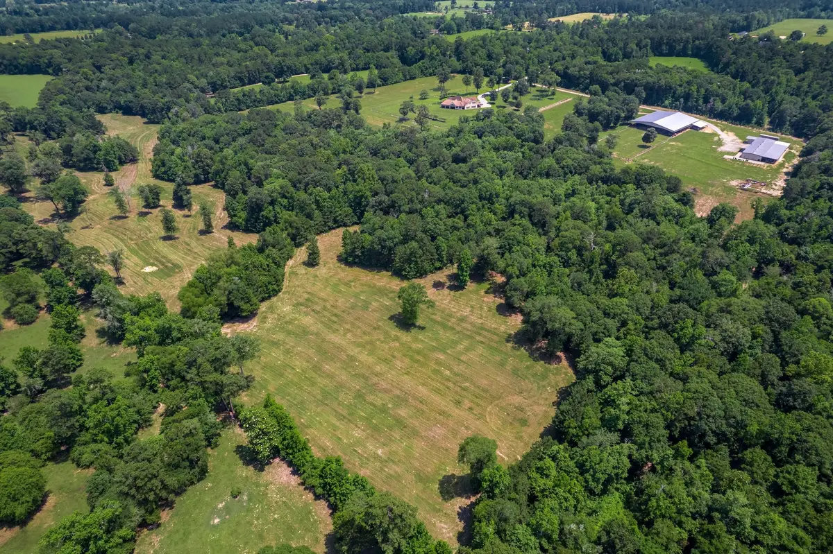 4161 Fm 2666 Road, Shepherd, TX 77371 - #1