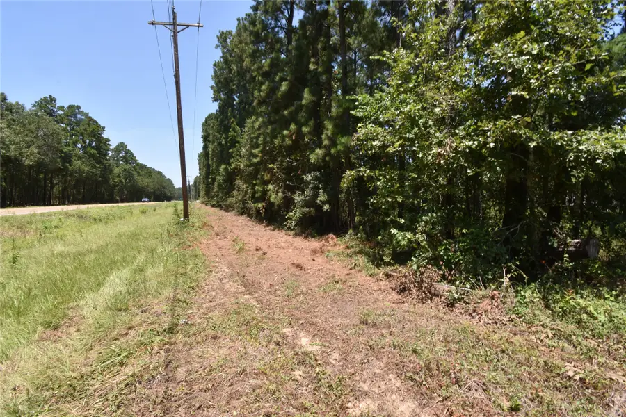 TBD1-2 Fm 3126, Livingston, TX 77351 - #2