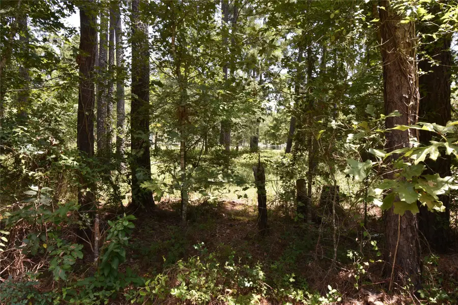 TBD1-2 Fm 3126, Livingston, TX 77351 - #3