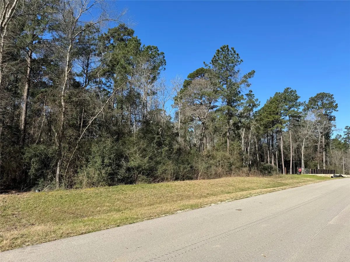 15-34-51 Alamo Drive, Huntsville, TX 77340 - #1