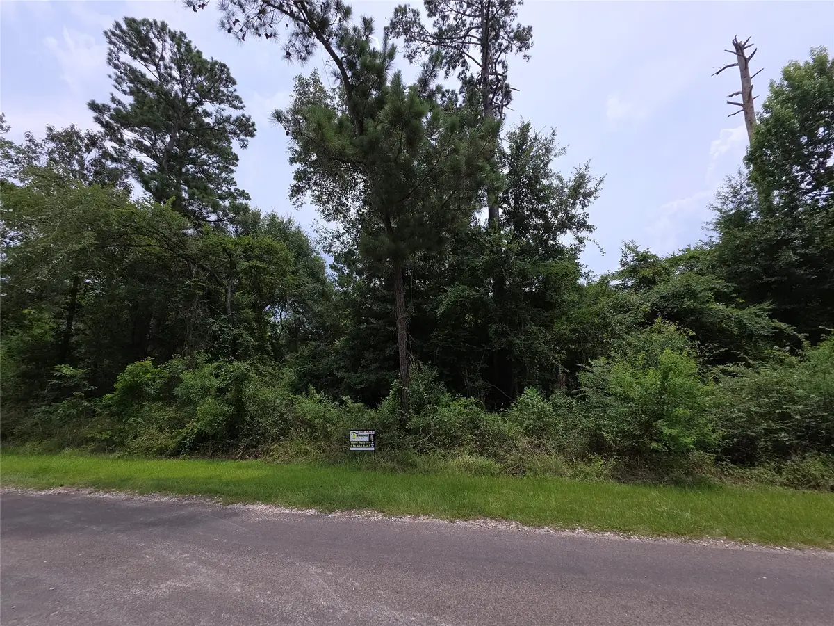 TBD E Cattle Drive, Onalaska, TX 77360 - #1