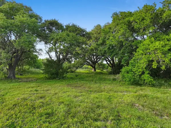 2187 Old Mexico Road, High Island, TX 77623