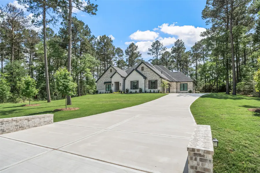 8680 Cedar Meadow Lane, Plantersville, TX 77363 - #2