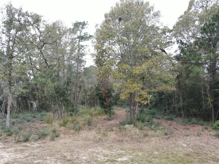 106 Ebner Lake Front Drive, Montgomery, TX 77316 - Image #2