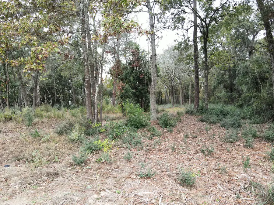 106 Ebner Lake Front Drive, Montgomery, TX 77316 - Image #3