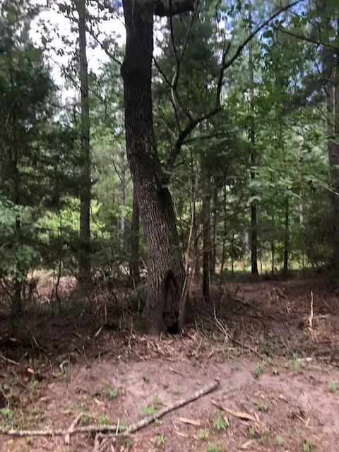 #3