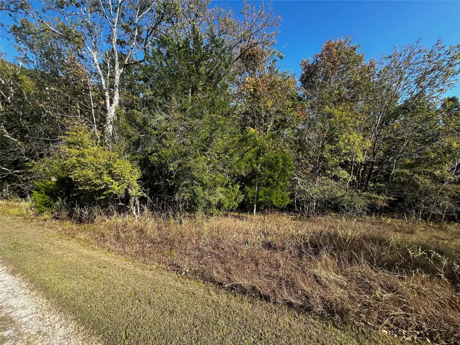 165 N Pine Harbour Drive, Coldspring, TX 77331 - Image #2