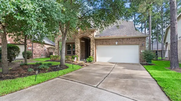 14 Painted Post Place, Spring, TX 77389