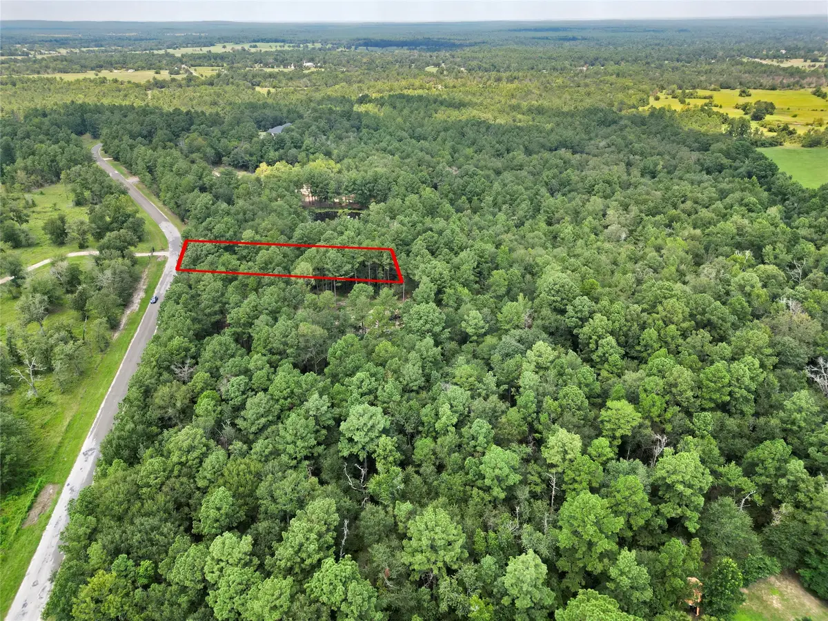 446 Moffett Springs Road, Huntsville, TX 77320 - #1