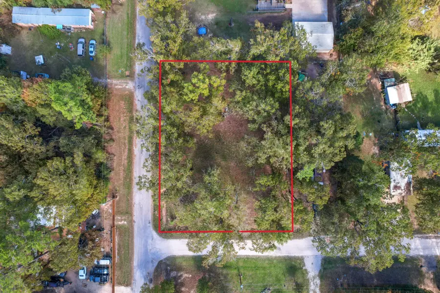 344 Wilcox Drive, Livingston, TX 77351 - Image #2