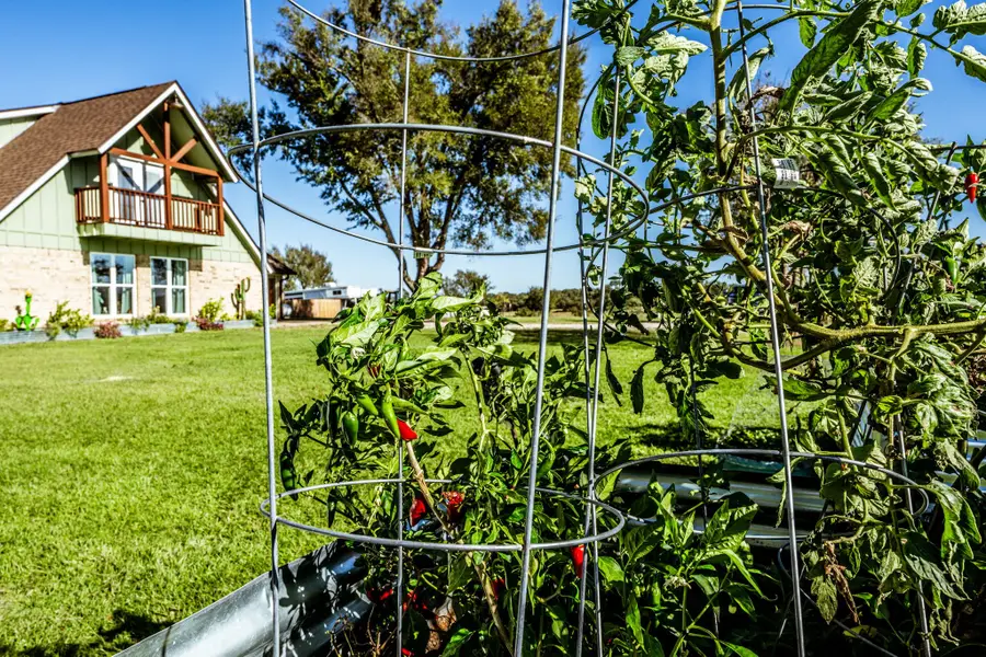 145 Private Road 5749, Groesbeck, TX 76642 - Image #3