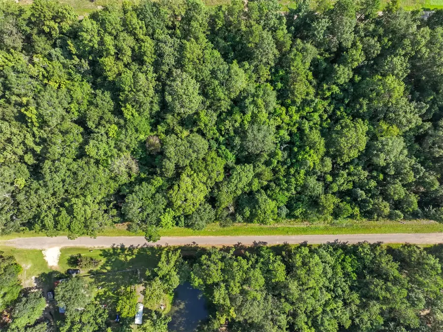 0 0 Dora Ln Lane, Shepherd, TX 77371 - Image #2