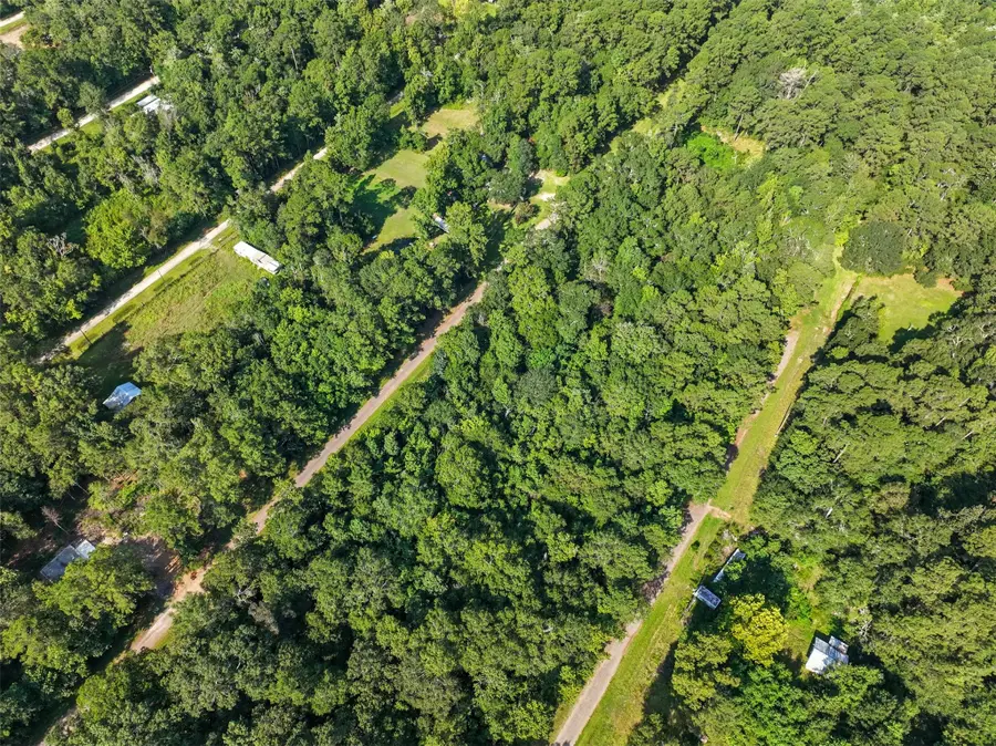 0 0 Dora Ln Lane, Shepherd, TX 77371 - Image #3