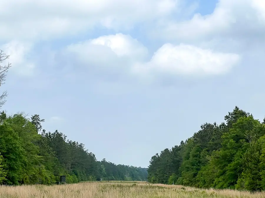 000 Cravens Camp Road, Silsbee, TX 77656 - #3