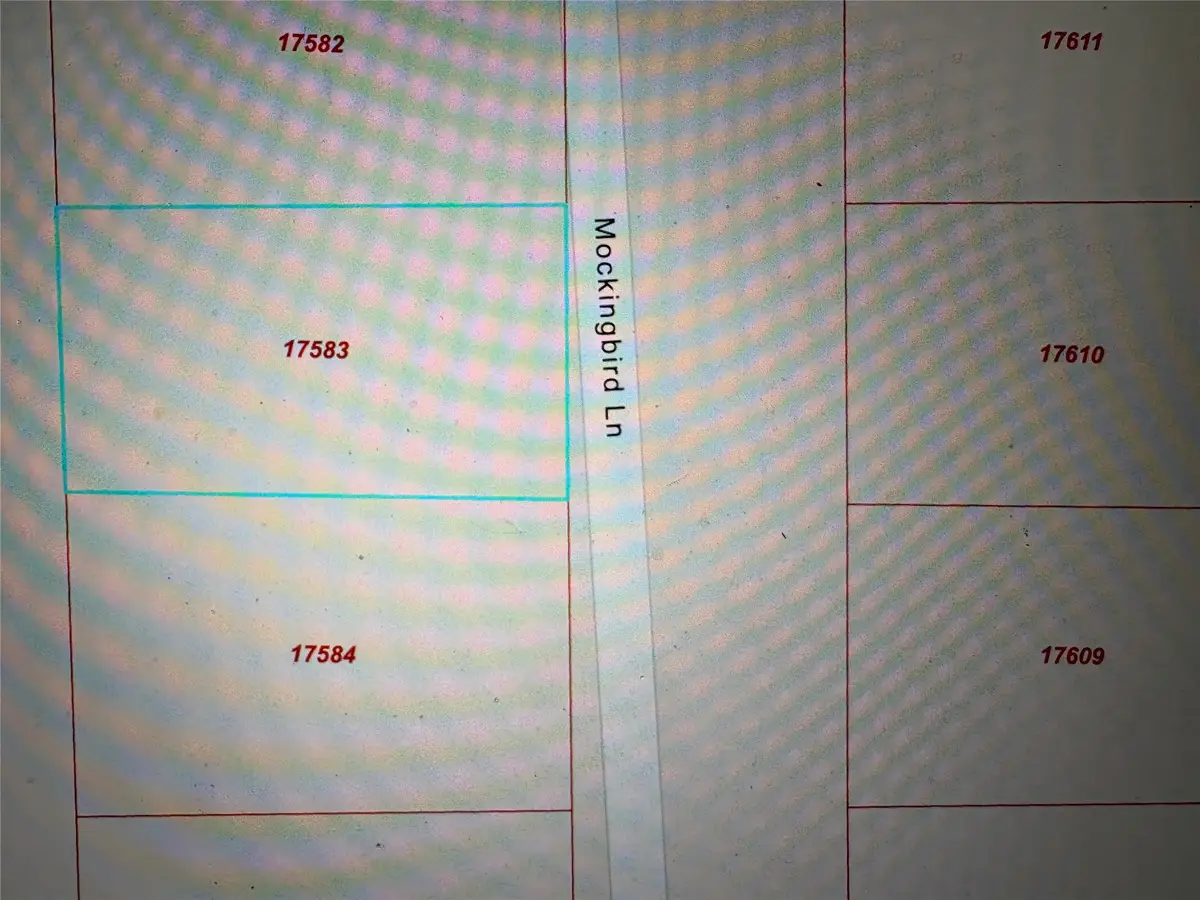 TBDD Mockingbird Lane, Hempstead, TX 77445 - #1