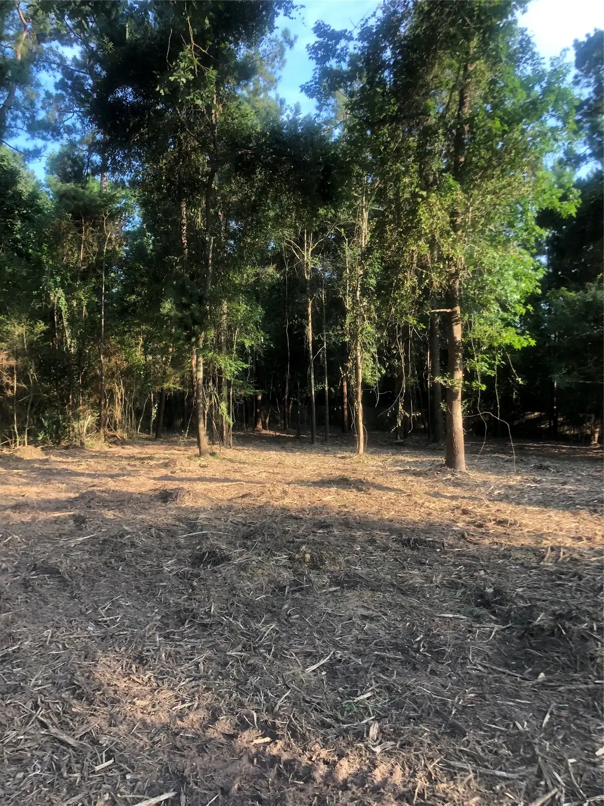 722 Carriage View Lane, Huffman, TX 77336 - #1