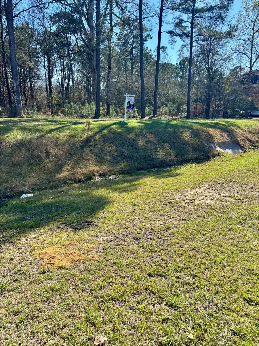 722 Carriage View Lane, Huffman, TX 77336 - #2