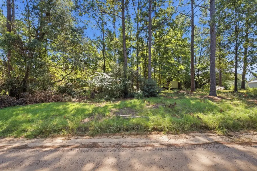 326 Veteran Lane Lane, Livingston, TX 77351 - #3
