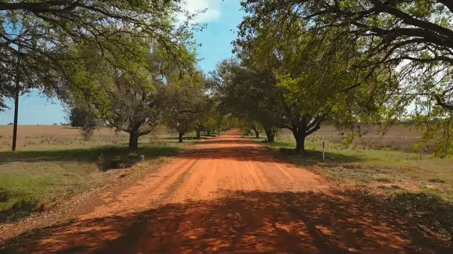 136-137 Lot 136-137 Royal Oak Dr, Hillister, TX 77624 - #2