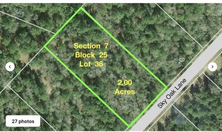 181 Sky Oak Lane Lane, Huntsville, TX 77340 - Image #3