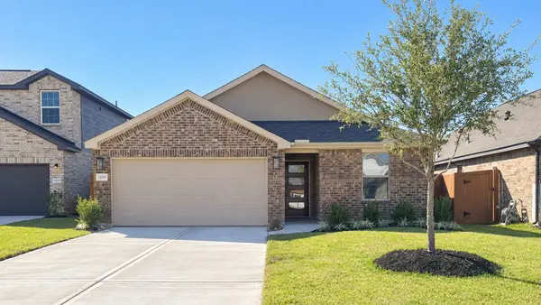 22219 Nissi Beach Drive, Hockley, TX 77447