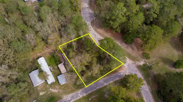TBD Trinity Cove Drive, Trinity, TX 75862