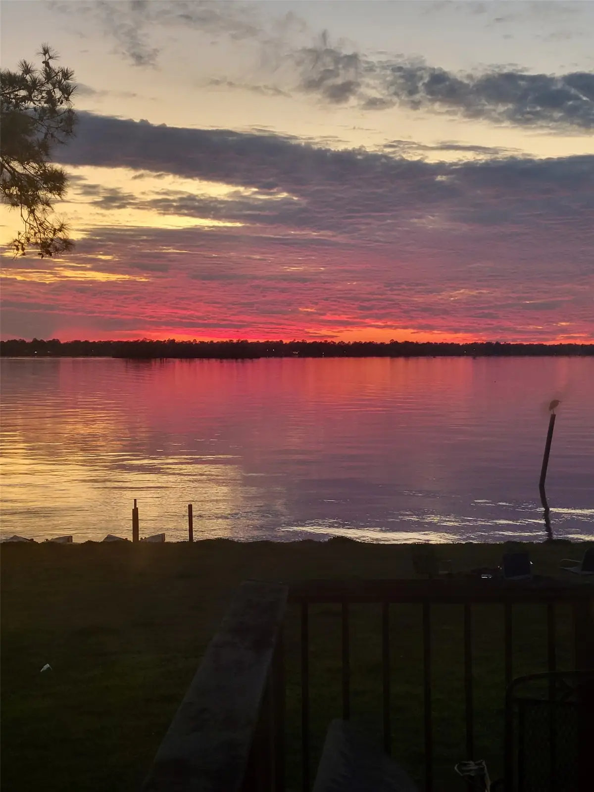 24511 Sunny Glen Drive, Huffman, TX 77336 - #1