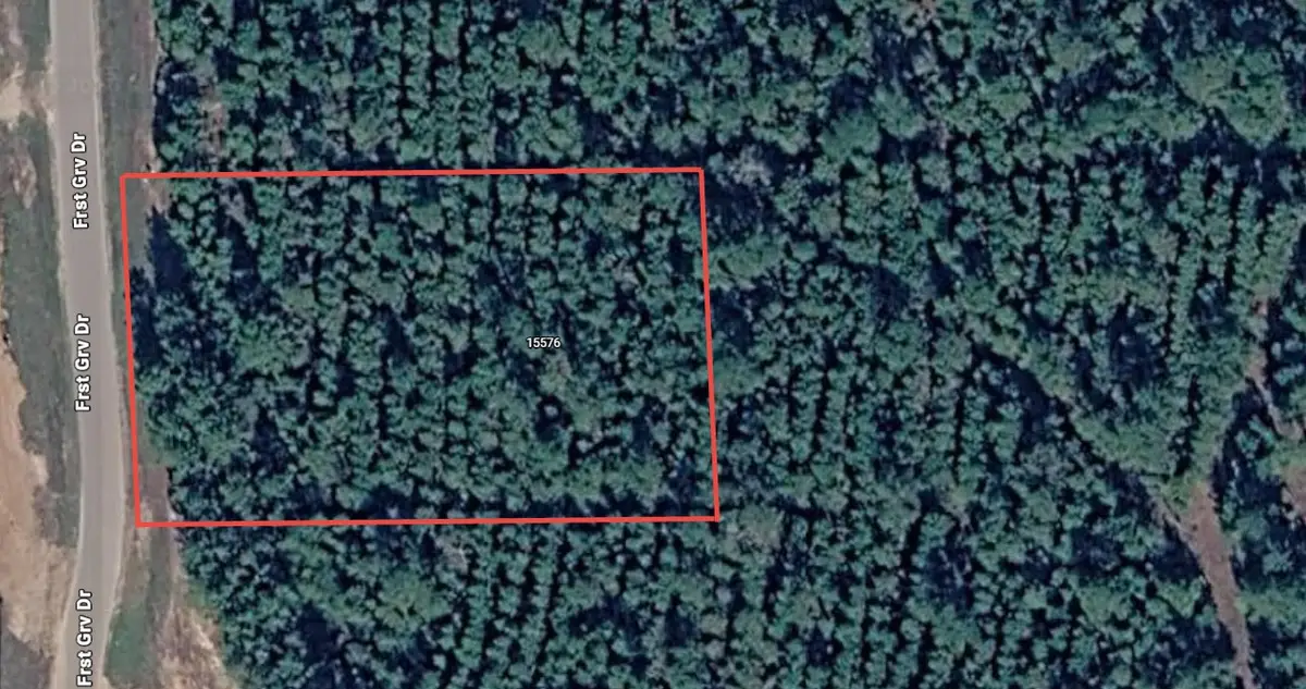 15576 Forest Grove Drive, Willis, TX 77378 - #1